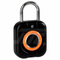 IT806F Keyless type with customizable fingerprint Padlock