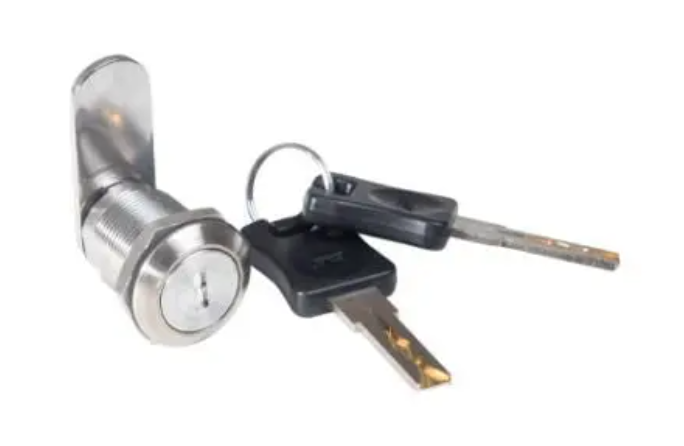 19mm Stainless Steel High Security Snake Lock (Waterproof And Corrosion Resistance) 