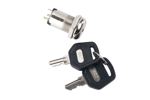 19mm Anti-Vibration Function Switch Lock With Flat Key